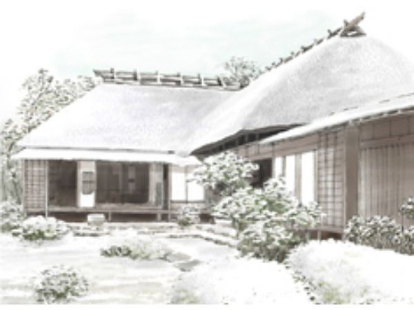 050418nanohona.jpg