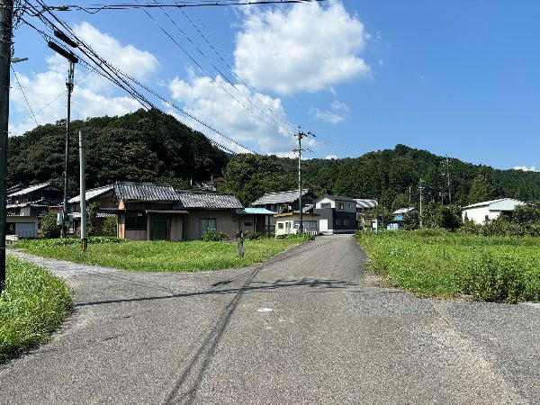 img20250401160430943620.jpg